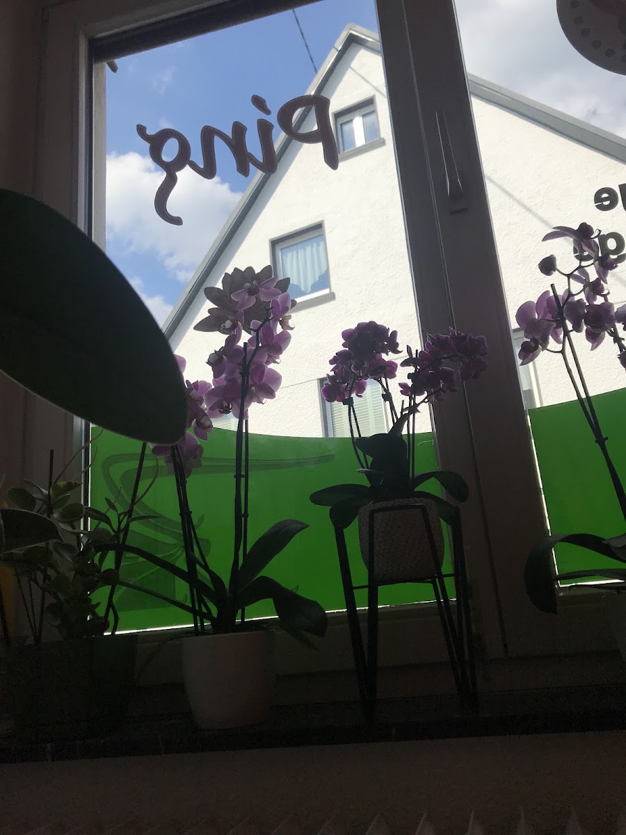 Schaufenster von Ping Thai-Massage in der Bahnhofstraße mit Orchideen